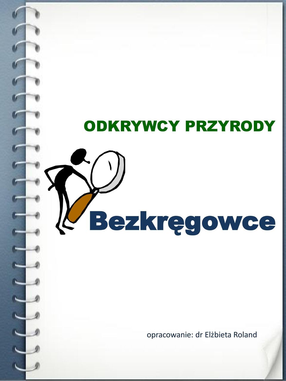 Bezkręgowce