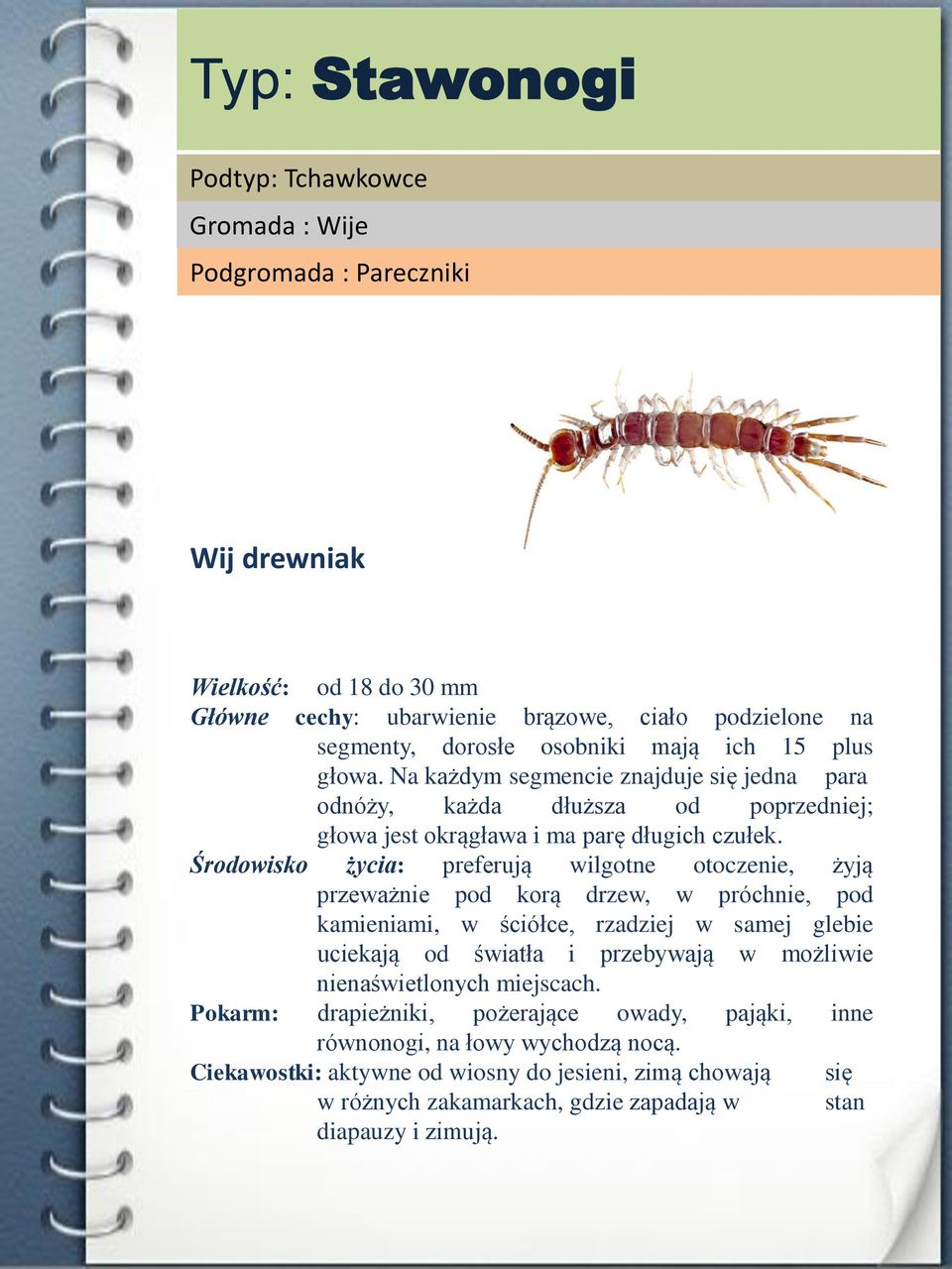 Środowisko życia: preferują wilgotne otoczenie, żyją przeważnie pod korą drzew, w próchnie, pod kamieniami, w ściółce, rzadziej w samej glebie uciekają od światła i przebywają w możliwie