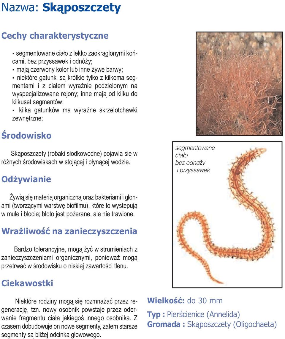 różnych środowiskach w stojącej i płynącej wodzie.