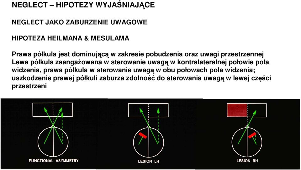 sterowanie uwagą w kontralateralnej połowie pola widzenia, prawa półkula w sterowanie uwagą w obu