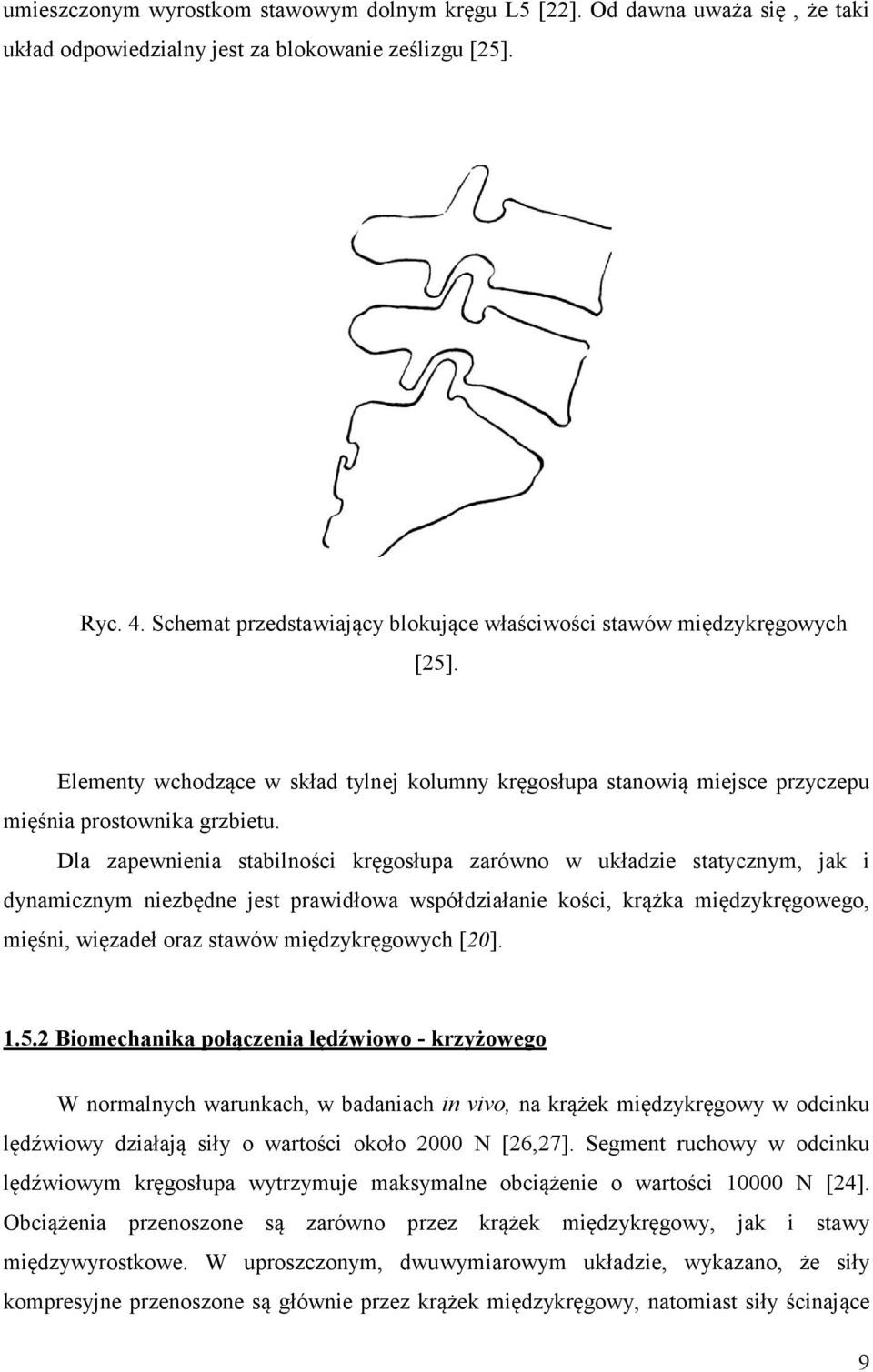 Dla zapewnienia stabilności kręgosłupa zarówno w układzie statycznym, jak i dynamicznym niezbędne jest prawidłowa współdziałanie kości, krążka międzykręgowego, mięśni, więzadeł oraz stawów