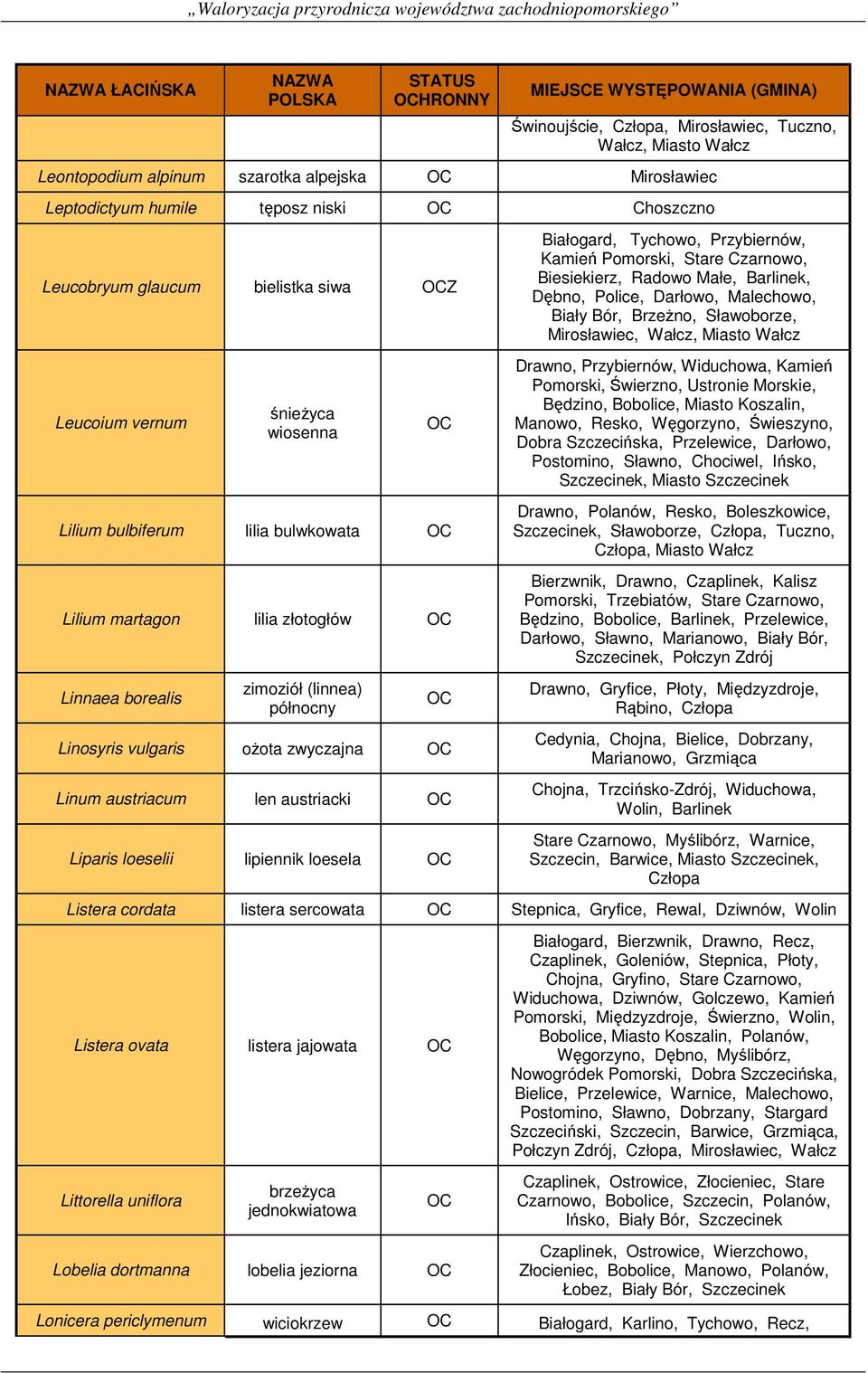 len austriacki Liparis loeselii lipiennik loesela Białogard, Tychowo, Przybiernów, Kamień Pomorski,, Biesiekierz, Radowo Małe, Barlinek, Dębno, Police, Darłowo, Malechowo, Biały Bór, Brzeżno,