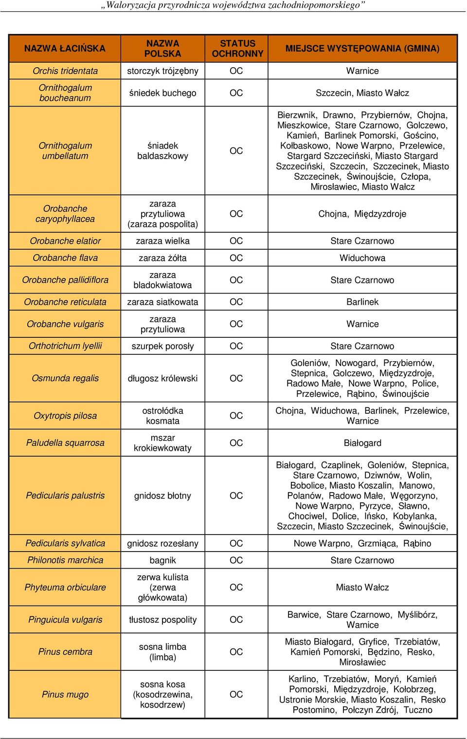 Stargard Szczeciński, Szczecin, Szczecinek, Miasto Szczecinek, Świnoujście, Człopa, Mirosławiec, Miasto Wałcz Chojna, Międzyzdroje Orobanche elatior zaraza wielka Orobanche flava zaraza żółta