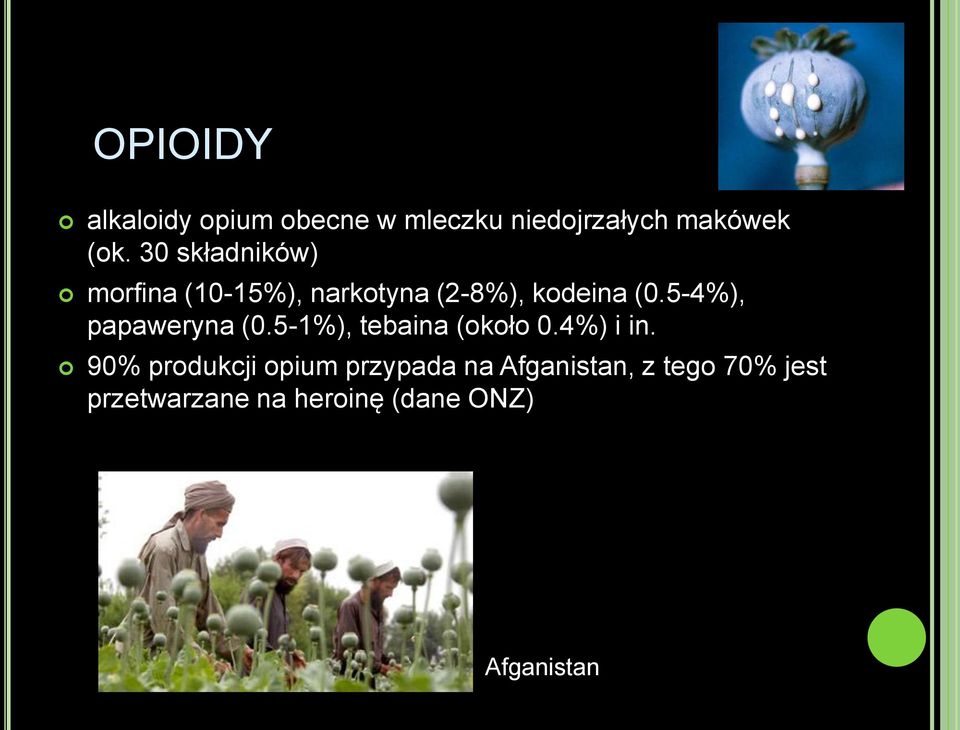 5-4%), papaweryna (0.5-1%), tebaina (około 0.4%) i in.