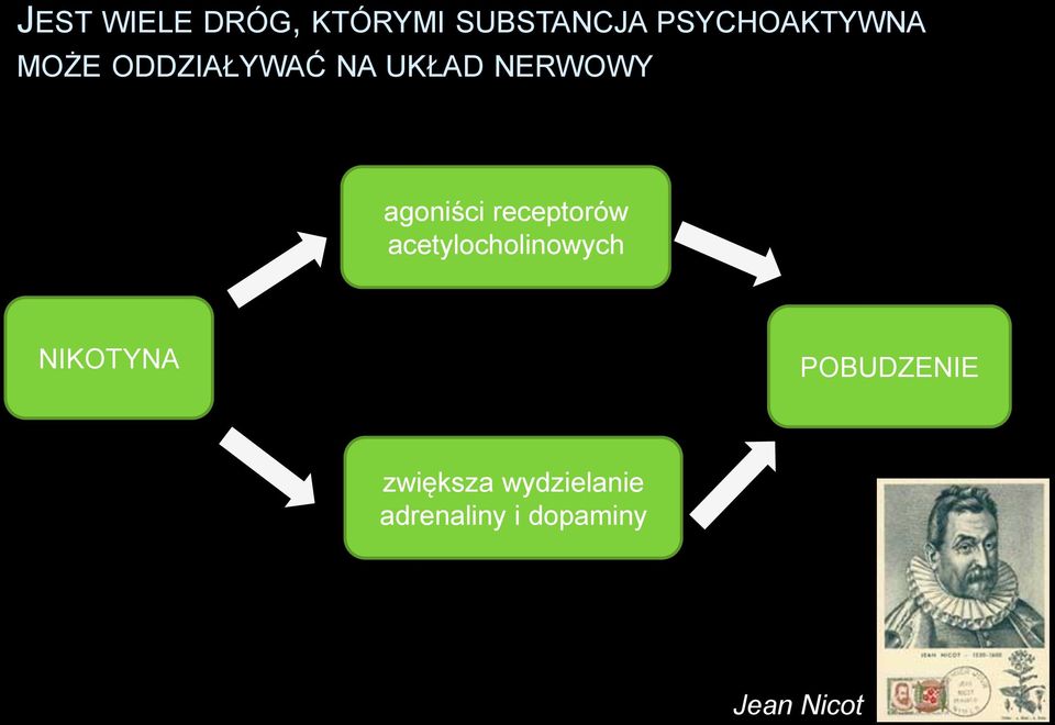 agoniści receptorów acetylocholinowych NIKOTYNA