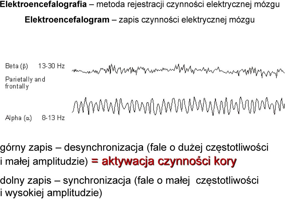 desynchronizacja (fale o dużej częstotliwości i małej amplitudzie) =