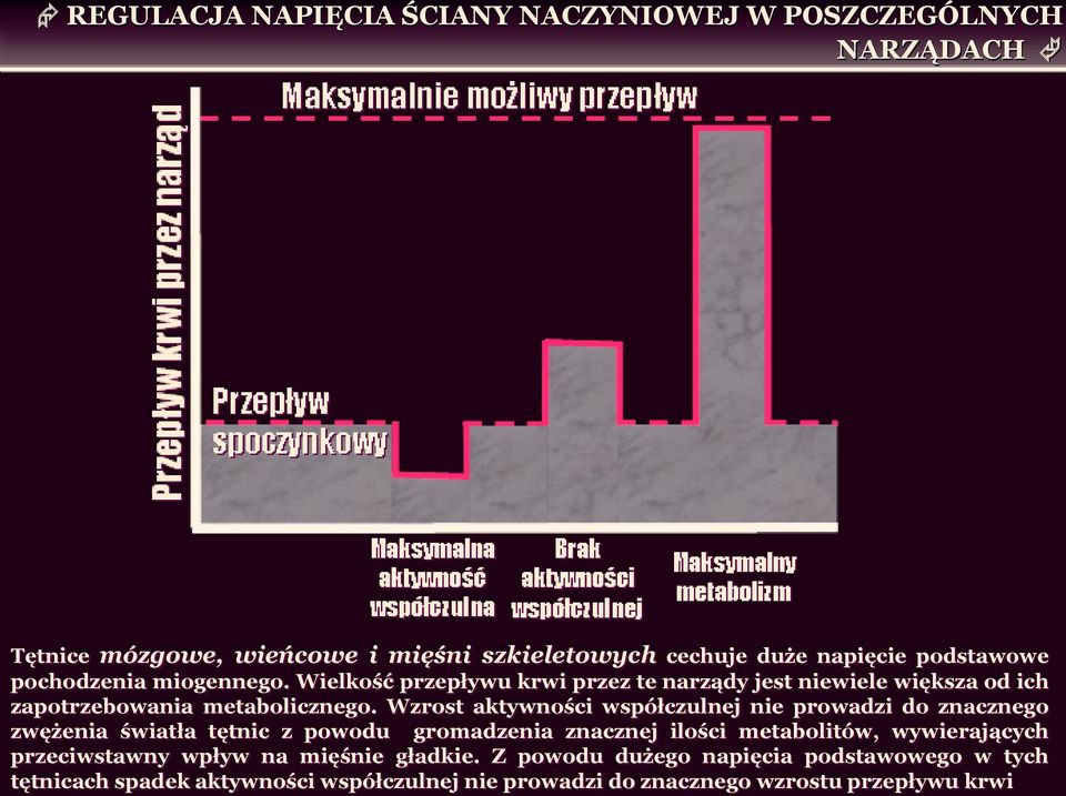 Wzrost aktywności współczulnej nie prowadzi do znacznego zwężenia światła tętnic z powodu gromadzenia znacznej ilości metabolitów, wywierających