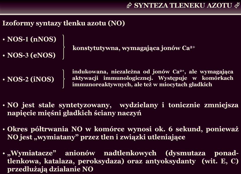 Występuje w komórkach immunoreaktywnych, ale też w miocytach gładkich NO jest stale syntetyzowany, wydzielany i tonicznie zmniejsza napięcie mięśni gładkich