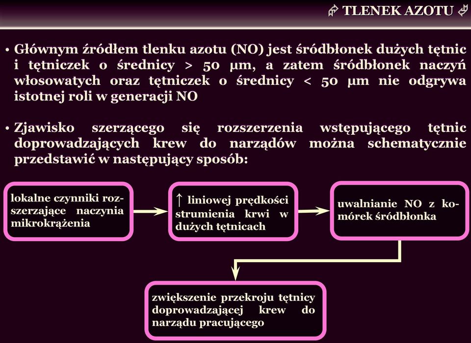 doprowadzających krew do narządów można schematycznie przedstawić w następujący sposób: lokalne czynniki rozszerzające naczynia mikrokrążenia