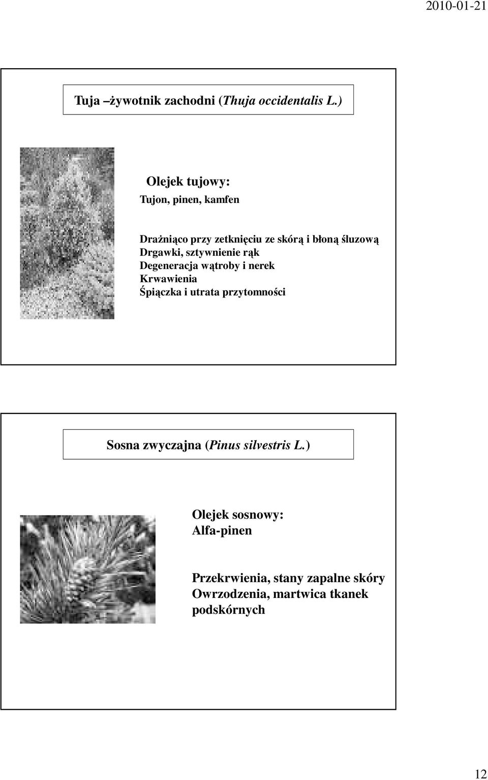 Drgawki, sztywnienie rąk Degeneracja wątroby i nerek Krwawienia Śpiączka i utrata