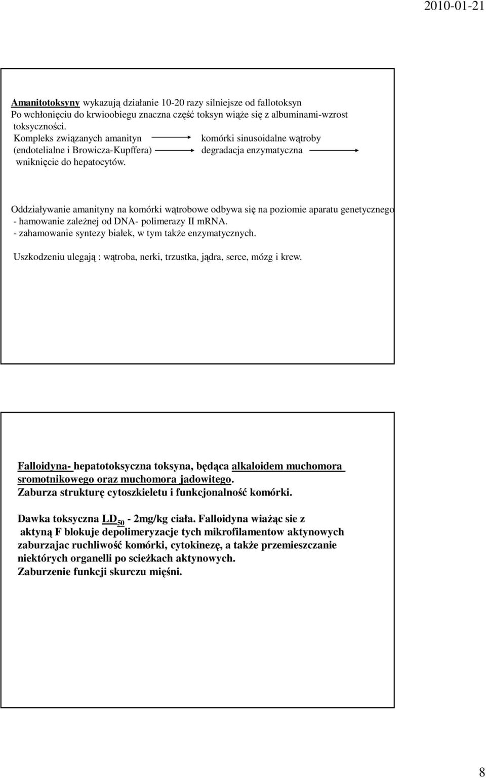 Oddziaływanie amanityny na komórki wątrobowe odbywa się na poziomie aparatu genetycznego. - hamowanie zaleŝnej od DNA- polimerazy II mrna. - zahamowanie syntezy białek, w tym takŝe enzymatycznych.