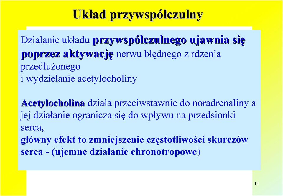 przeciwstawnie do noradrenaliny a jej działanie ogranicza się do wpływu na przedsionki