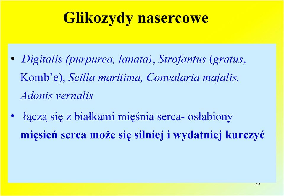 majalis, Adonis vernalis łączą się z białkami mięśnia