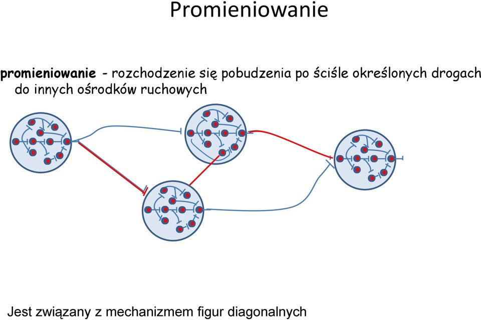 określonych drogach do innych ośrodków