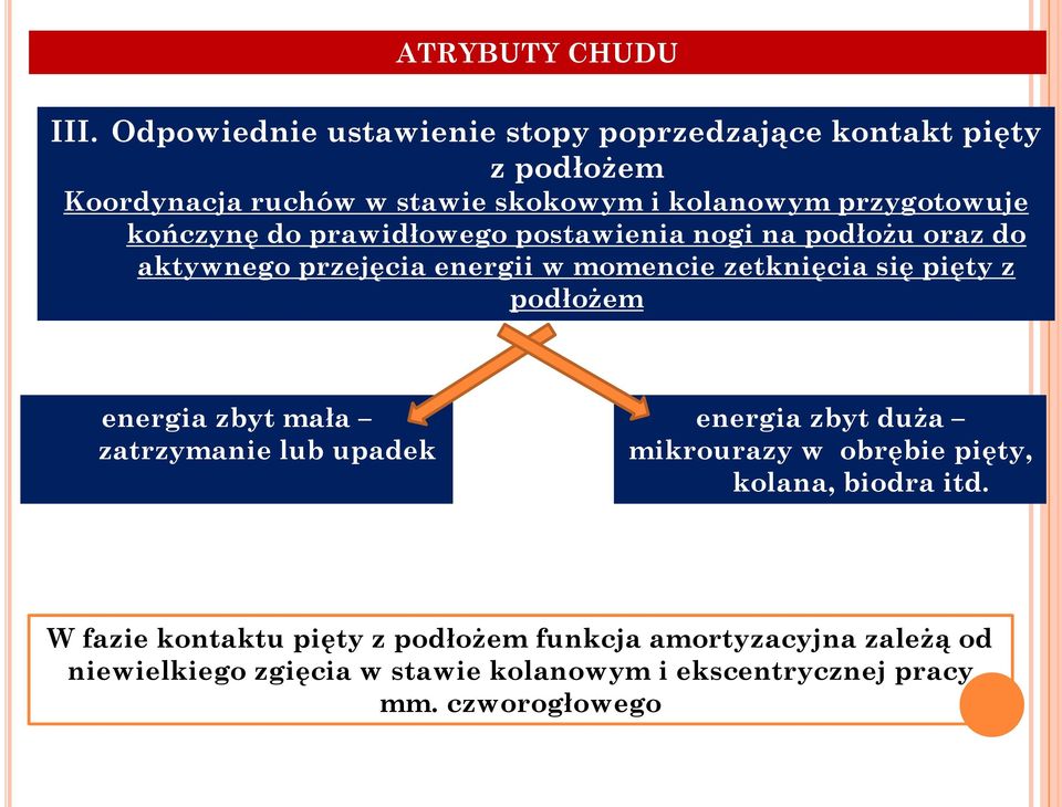 kończynę do prawidłowego postawienia nogi na podłożu oraz do aktywnego przejęcia energii w momencie zetknięcia się pięty z podłożem