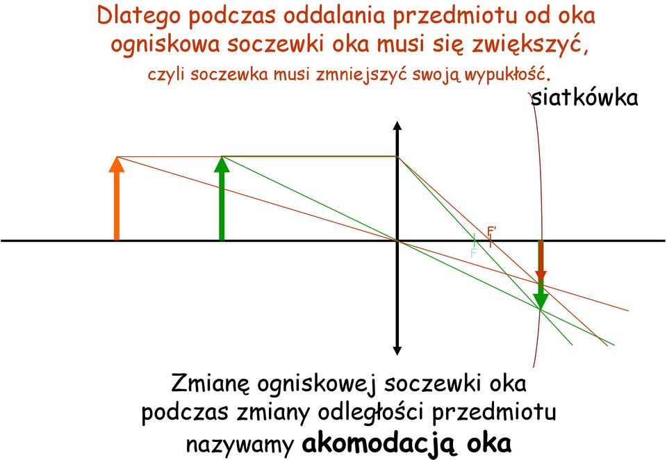 zmniejszyć swoją wypukłość.