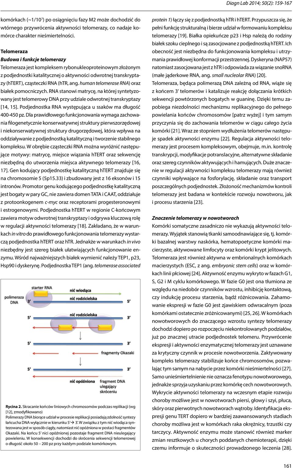 human telomerase RNA) oraz białek pomocniczych. RNA stanowi matrycę, na której syntetyzowany jest telomerowy DNA przy udziale odwrotnej transkryptazy [14, 15].