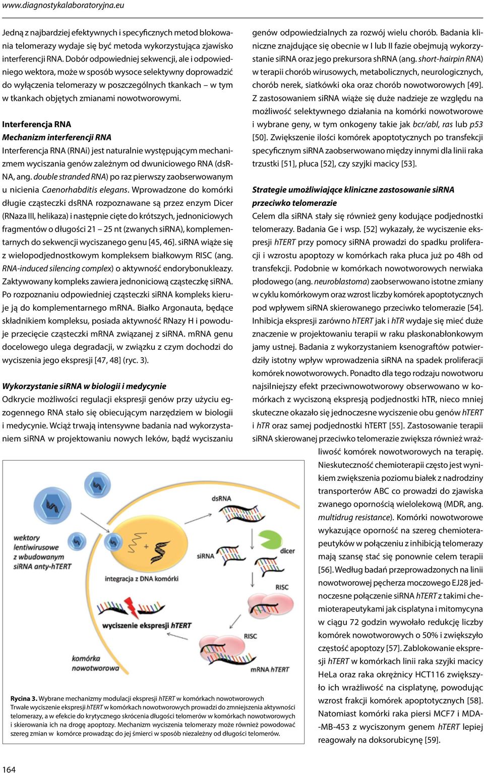 nowotworowymi. Interferencja RNA Mechanizm interferencji RNA Interferencja RNA (RNAi) jest naturalnie występującym mechanizmem wyciszania genów zależnym od dwuniciowego RNA (dsr- NA, ang.