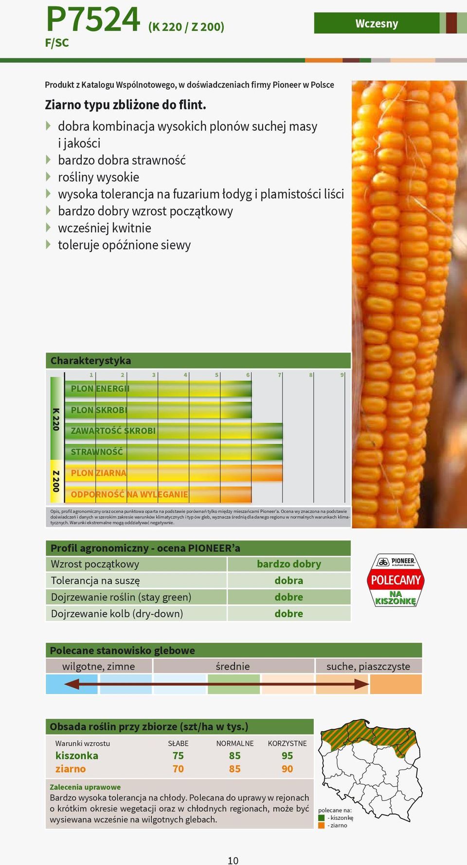 wcześniej kwitnie toleruje opóźnione siewy PLON ENERGII K 220 Z 200 PLON SKROBI ZAWARTOŚĆ SKROBI STRAWNOŚĆ PLON ZIARNA ODPORNOŚĆ NA WYLEGANIE bardzo dobry dobra POLECAMY NA KISZONKĘ