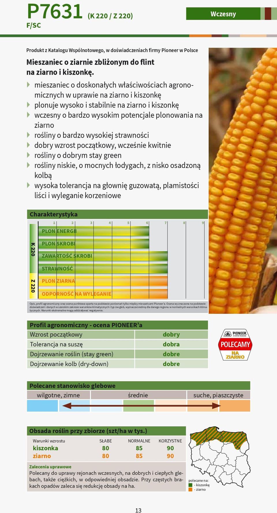 o bardzo wysokiej strawności dobry wzrost początkowy, wcześnie kwitnie rośliny o dobrym stay green rośliny niskie, o mocnych łodygach, z nisko osadzoną kolbą wysoka tolerancja na głownię guzowatą,