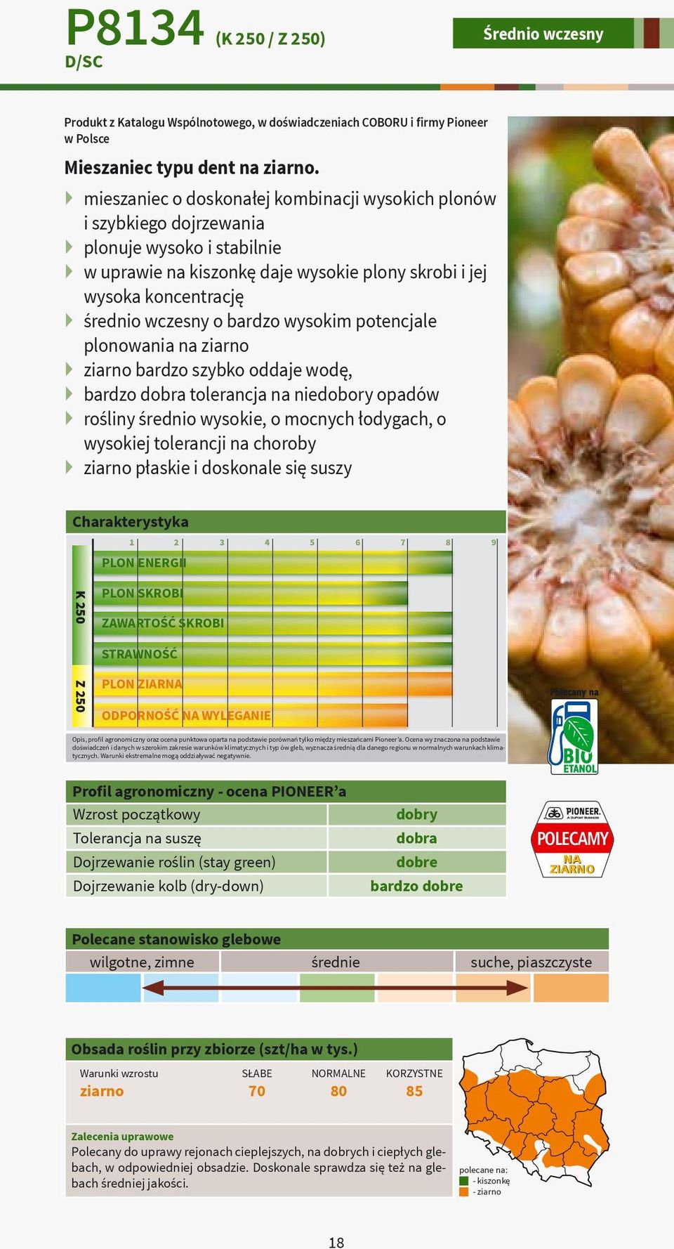 bardzo wysokim potencjale plonowania na ziarno ziarno bardzo szybko oddaje wodę, bardzo dobra tolerancja na niedobory opadów rośliny średnio wysokie, o mocnych łodygach, o wysokiej tolerancji na