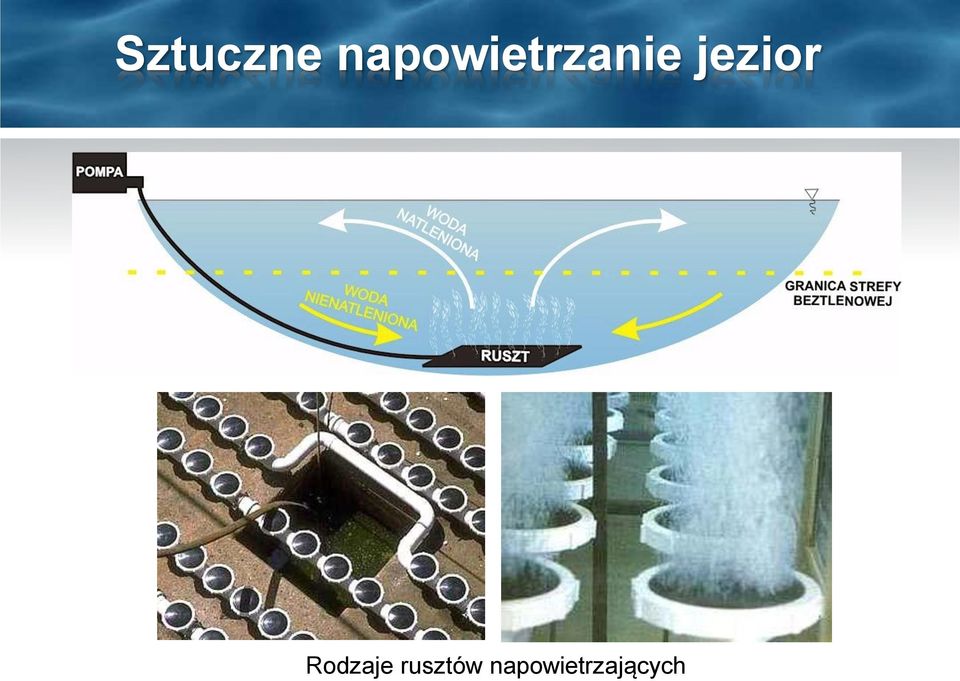 jezior Rodzaje