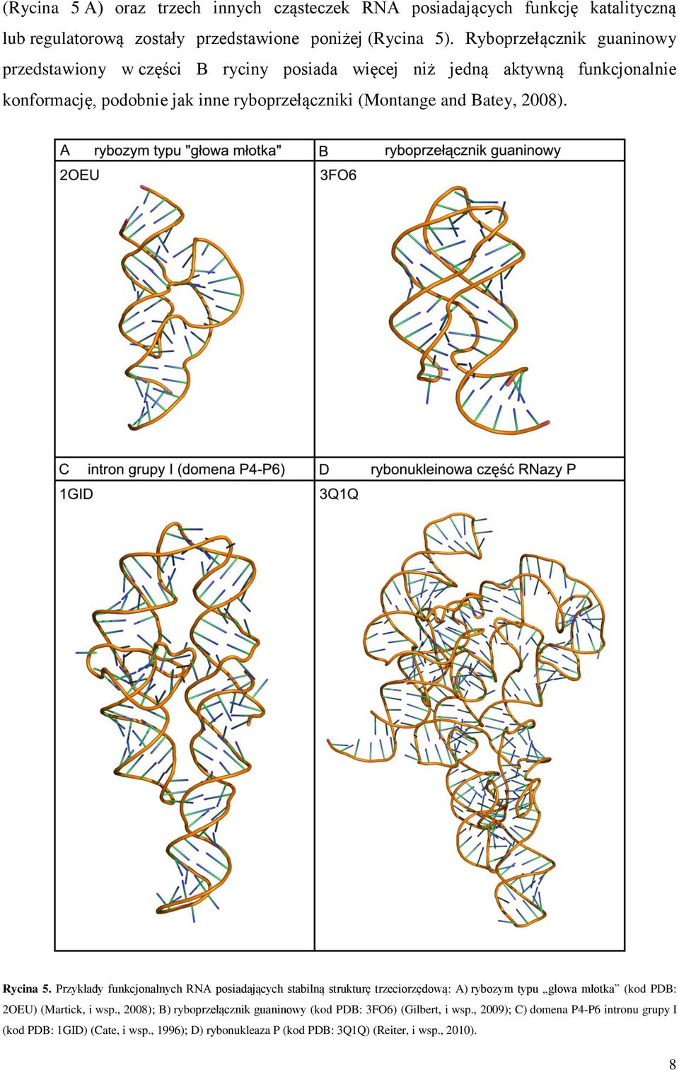 Batey, 2008). Rycina 5. Przykłady funkcjonalnych RNA posiadających stabilną strukturę trzeciorzędową: A) rybozym typu głowa młotka (kod PDB: 2OEU) (Martick, i wsp.