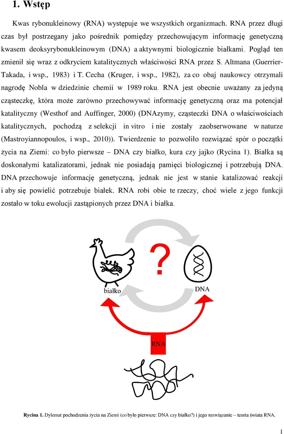 Pogląd ten zmienił się wraz z odkryciem katalitycznych właściwości RNA przez S. Altmana (Guerrier- Takada, i wsp., 1983) i T. Cecha (Kruger, i wsp.