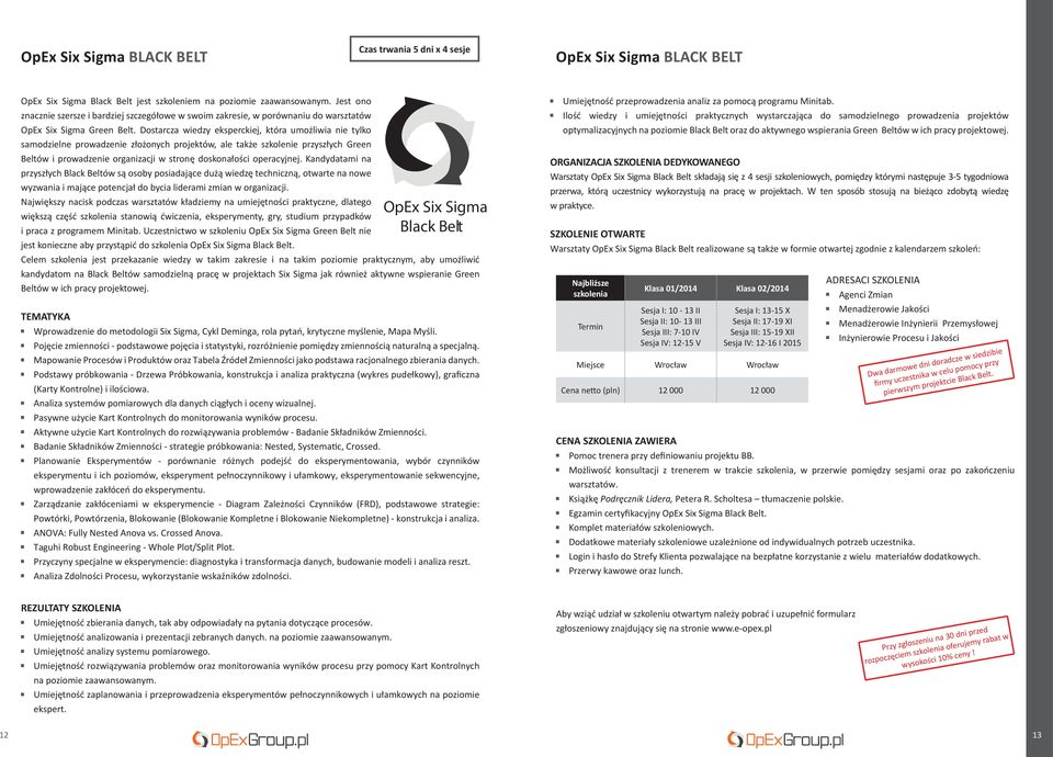 Dostarcza wiedzy eksperckiej, która umożliwia nie tylko samodzielne prowadzenie złożonych projektów, ale także szkolenie przyszłych Green Beltów i prowadzenie organizacji w stronę doskonałości