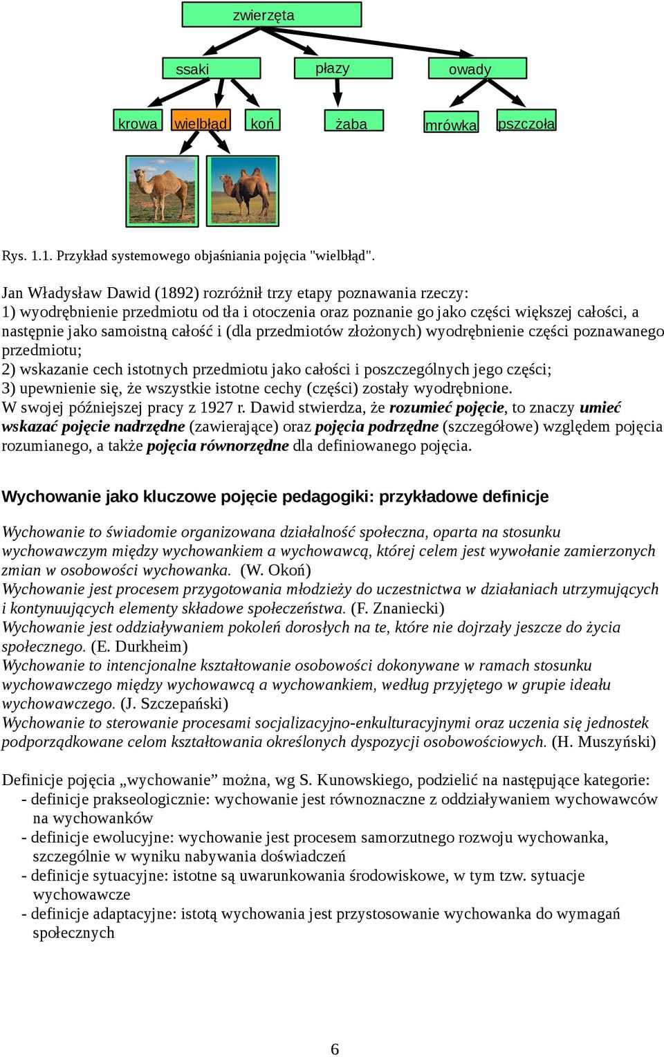 (dla przedmiotów złożonych) wyodrębnienie części poznawanego przedmiotu; 2) wskazanie cech istotnych przedmiotu jako całości i poszczególnych jego części; 3) upewnienie się, że wszystkie istotne