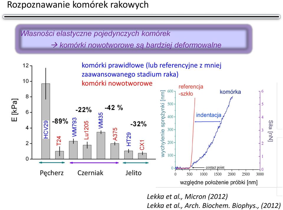 referencyjne z mniej zaawansowanego stadium raka) komórki nowotworowe Pęcherz