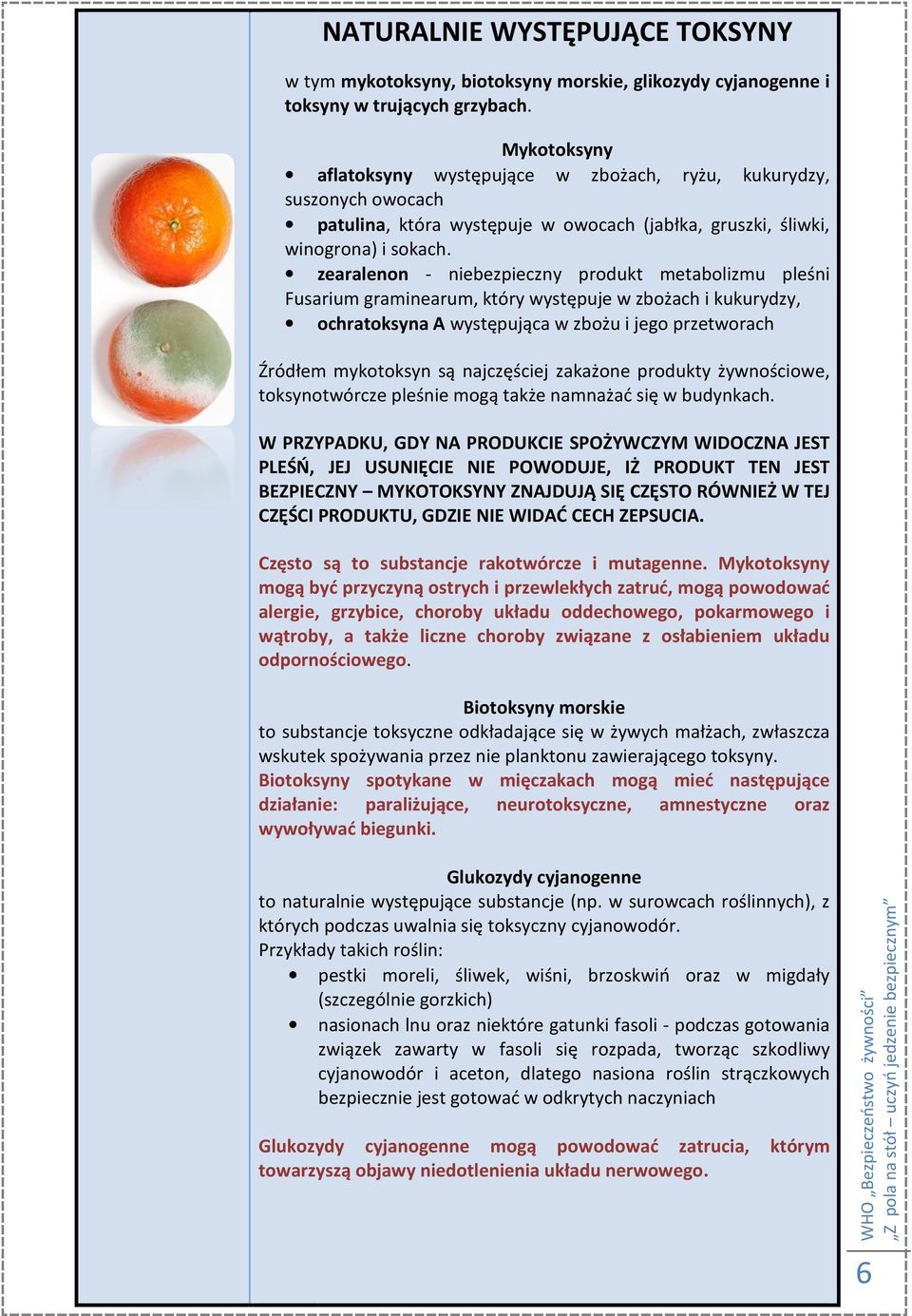 zearalenon - niebezpieczny produkt metabolizmu pleśni Fusarium graminearum, który występuje w zbożach i kukurydzy, ochratoksyna A występująca w zbożu i jego przetworach Źródłem mykotoksyn są