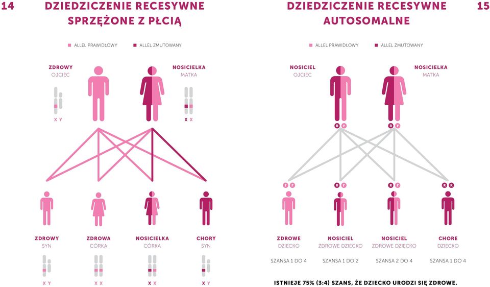 ZDROWA CÓRKA NOSICIELKA CÓRKA CHORY SYN ZDROWE DZIECKO NOSICIEL ZDROWE DZIECKO NOSICIEL ZDROWE DZIECKO CHORE DZIECKO