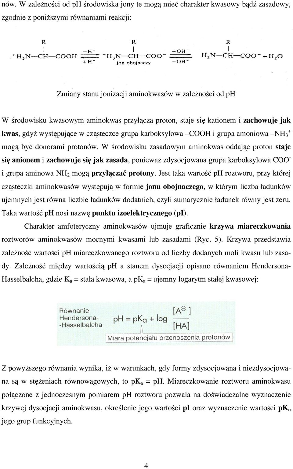 W środowisku zasadowym aminokwas oddając proton staje się anionem i zachowuje się jak zasada, ponieważ zdysocjowana grupa karboksylowa COO - i grupa aminowa NH 2 mogą przyłączać protony.