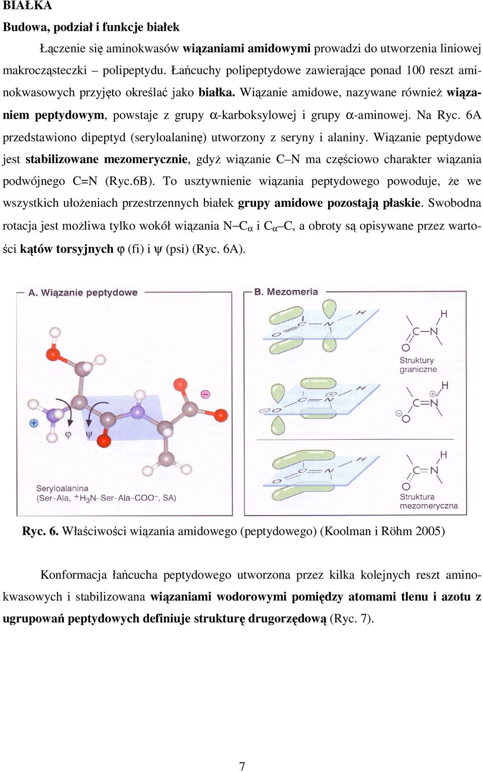 Wiązanie amidowe, nazywane również wiązaniem peptydowym, powstaje z grupy α-karboksylowej i grupy α-aminowej. Na Ryc. 6A przedstawiono dipeptyd (seryloalaninę) utworzony z seryny i alaniny.