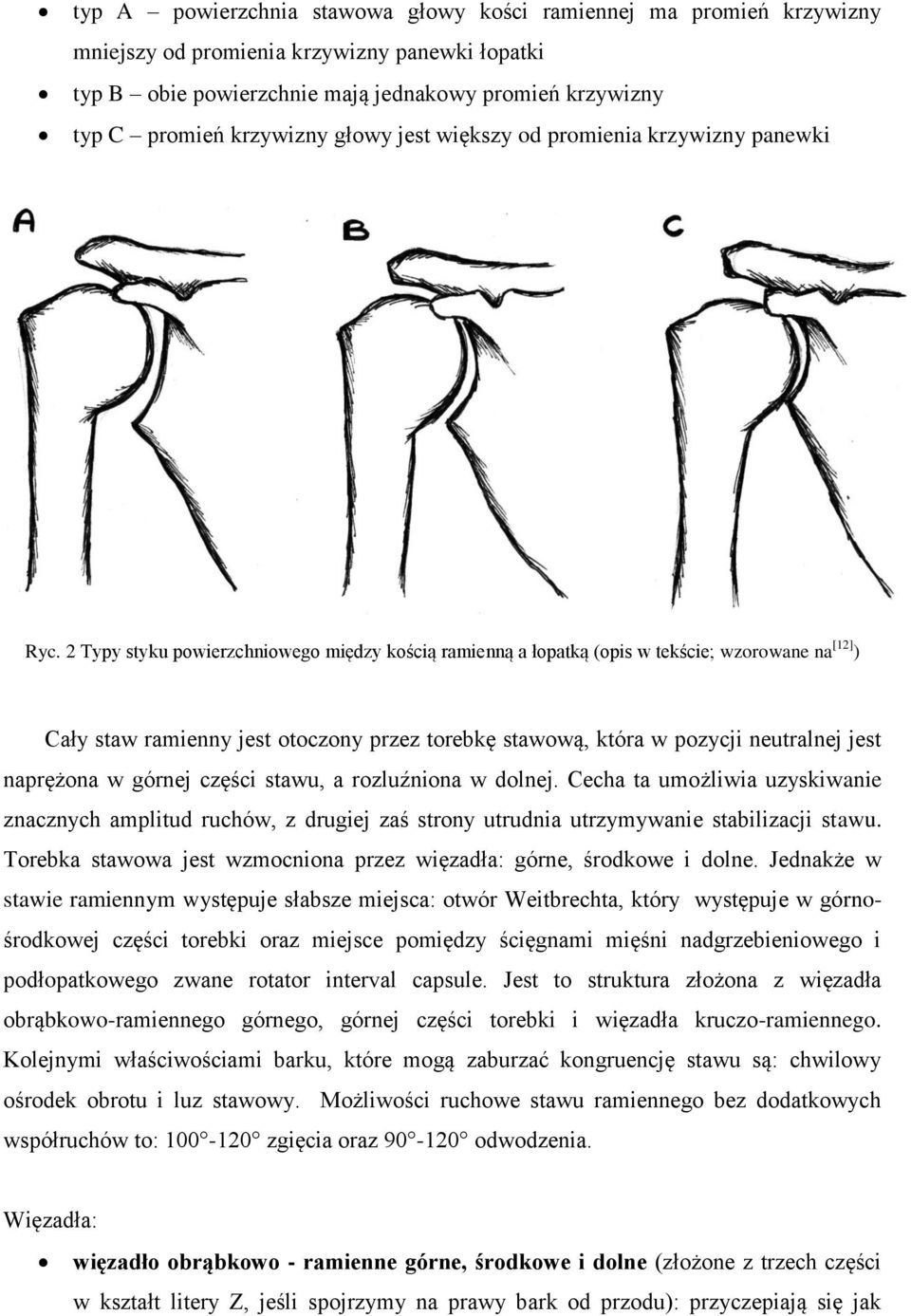 2 Typy styku powierzchniowego między kością ramienną a łopatką (opis w tekście; wzorowane na [12] ) Cały staw ramienny jest otoczony przez torebkę stawową, która w pozycji neutralnej jest naprężona w