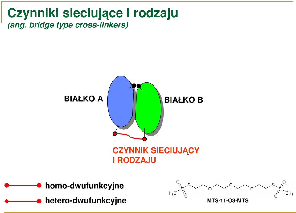 BIAŁKO B CZYNNIK SIECIUJĄCY I RODZAJU