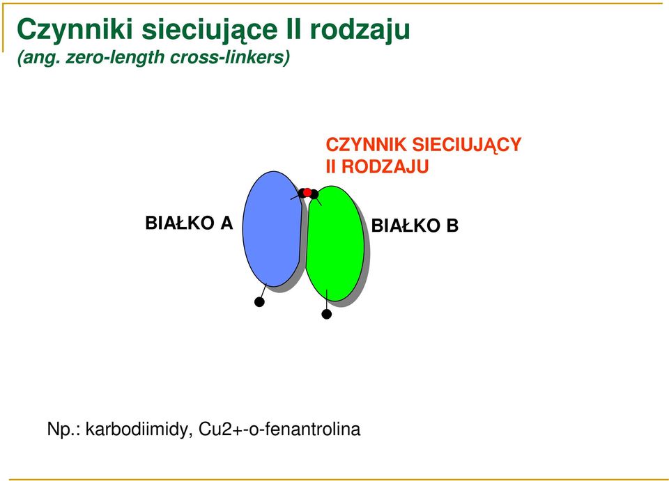 SIECIUJĄCY II RODZAJU BIAŁKO A BIAŁKO