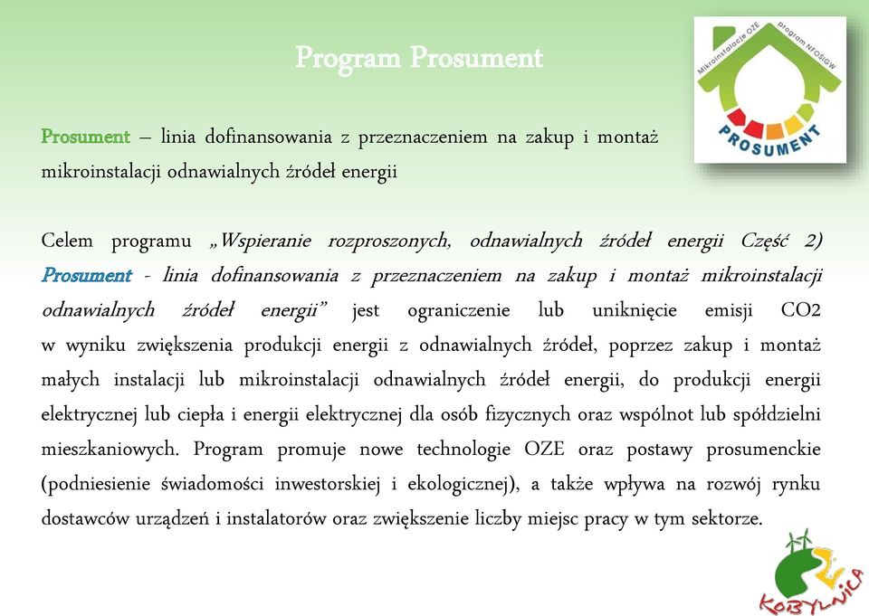 energii z odnawialnych źródeł, poprzez zakup i montaż małych instalacji lub mikroinstalacji odnawialnych źródeł energii, do produkcji energii elektrycznej lub ciepła i energii elektrycznej dla osób