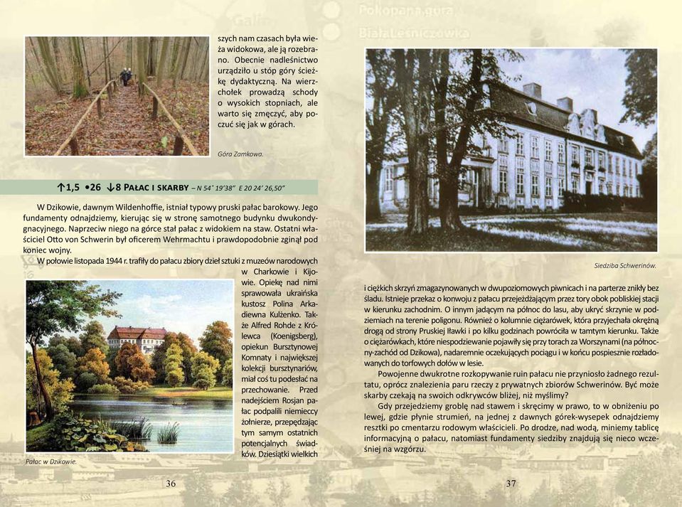1,5 26 8 Pałac i skarby N 54 19 38 E 20 24 26,50 W Dzikowie, dawnym Wildenhoffie, istniał typowy pruski pałac barokowy.