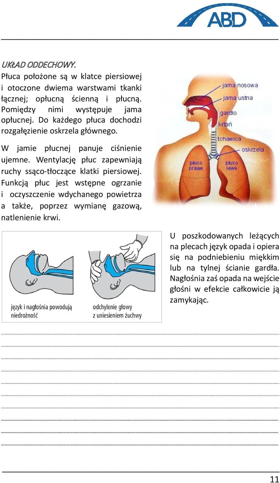 Wentylację płuc zapewniają ruchy ssąco-tłoczące klatki piersiowej.