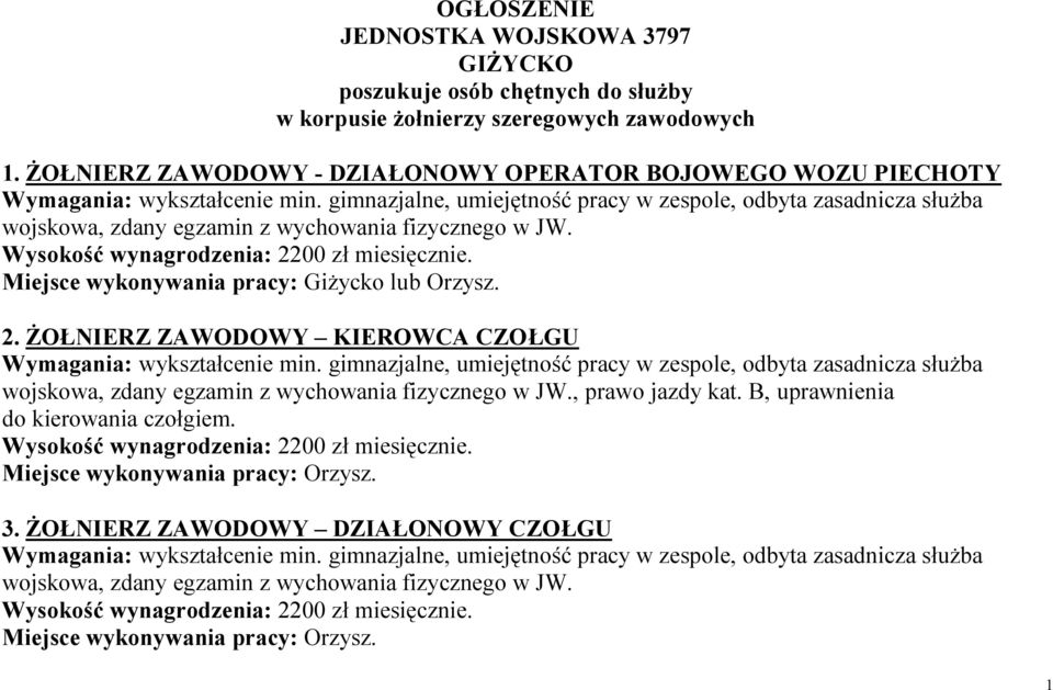 ŻOŁNIERZ ZAWODOWY - DZIAŁONOWY OPERATOR BOJOWEGO WOZU PIECHOTY 2.