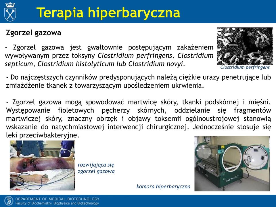 Clostridium perfringens - Do najczęstszych czynników predysponujących należą ciężkie urazy penetrujące lub zmiażdżenie tkanek z towarzyszącym upośledzeniem ukrwienia.