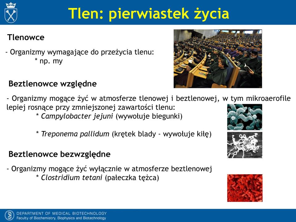 rosnące przy zmniejszonej zawartości tlenu: * Campylobacter jejuni (wywołuje biegunki) * Treponema pallidum