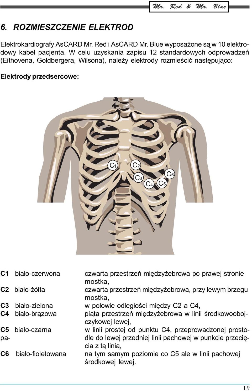 przestrzeñ miêdzy ebrowa po prawej stronie mostka, C2 bia³o- ó³ta czwarta przestrzeñ miêdzy ebrowa, przy lewym brzegu mostka, C3 bia³o-zielona w po³owie odleg³oœci miêdzy C2 a C4, C4 bia³o-br¹zowa