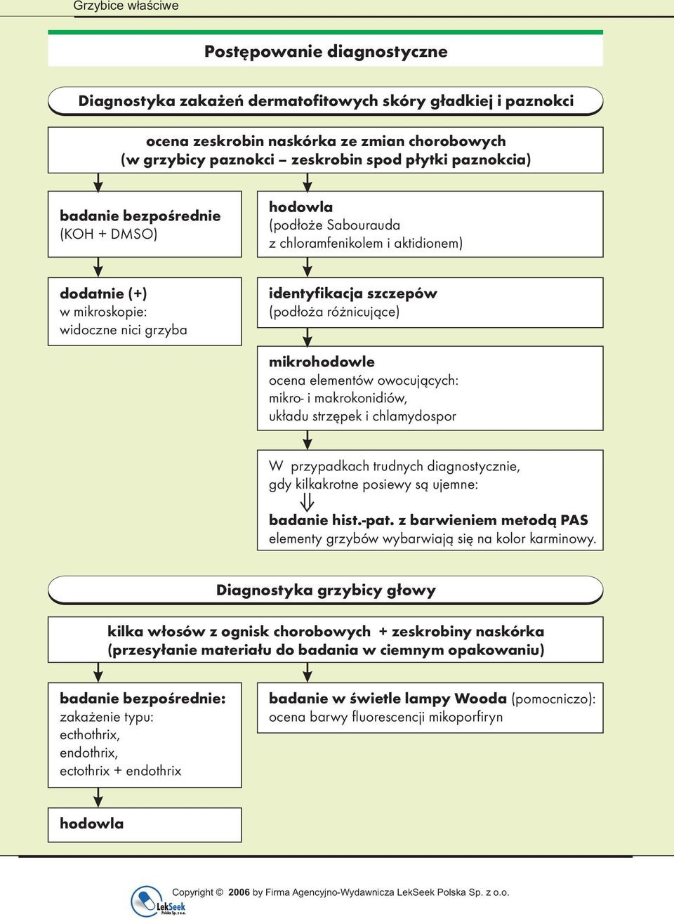 mikrohodowle ocena elementów owocujących: mikro- i makrokonidiów, układu strzępek i chlamydospor W przypadkach trudnych diagnostycznie, gdy kilkakrotne posiewy są ujemne: badanie hist.-pat.