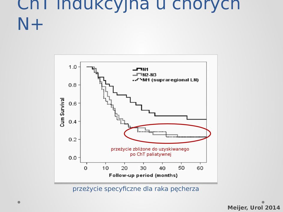 po ChT paliatywnej przeżycie