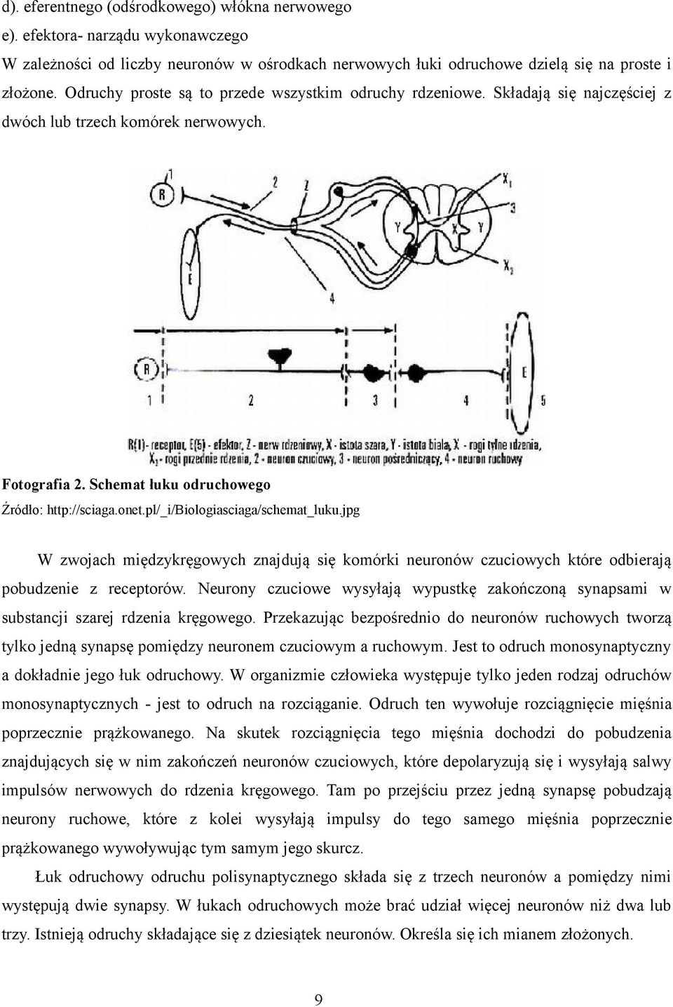 pl/_i/biologiasciaga/schemat_luku.jpg W zwojach międzykręgowych znajdują się komórki neuronów czuciowych które odbierają pobudzenie z receptorów.