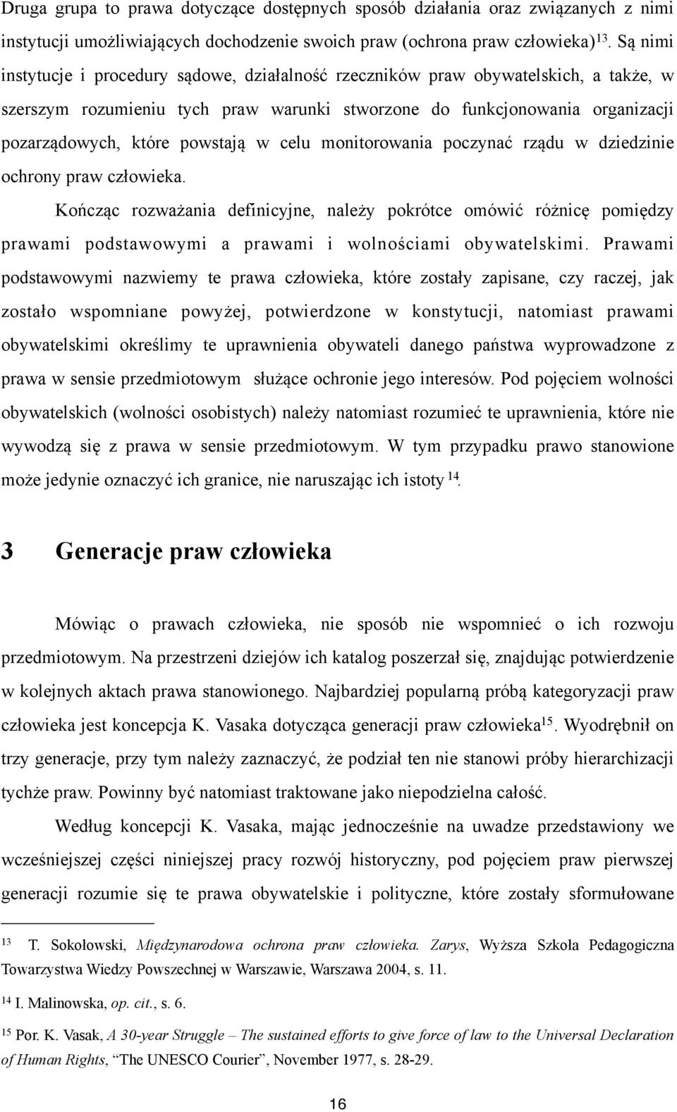 powstają w celu monitorowania poczynać rządu w dziedzinie ochrony praw człowieka.