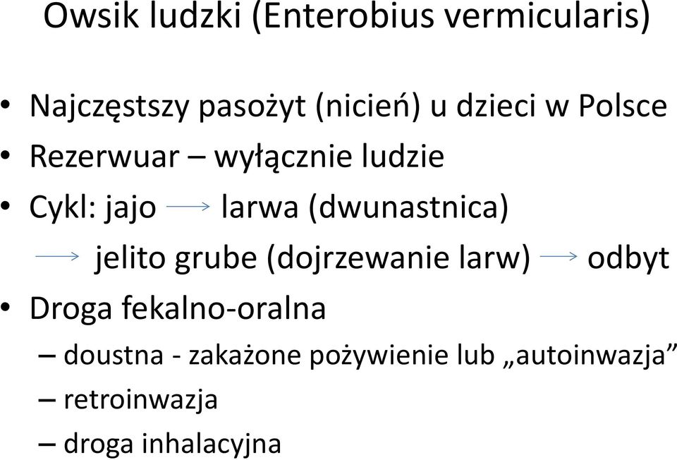 (dwunastnica) jelito grube (dojrzewanie larw) odbyt Droga